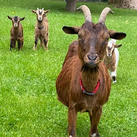 Privat bolig Le Stefanshof