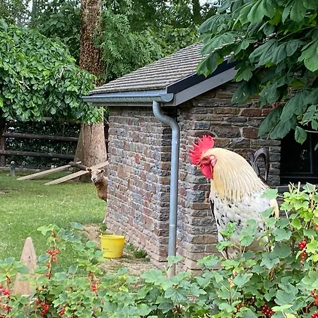 Le Stefanshof * 암브레브