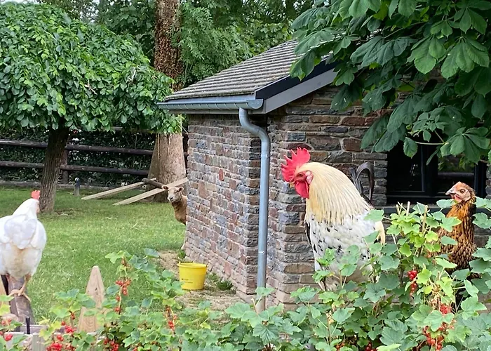 Le Stefanshof * Amblève